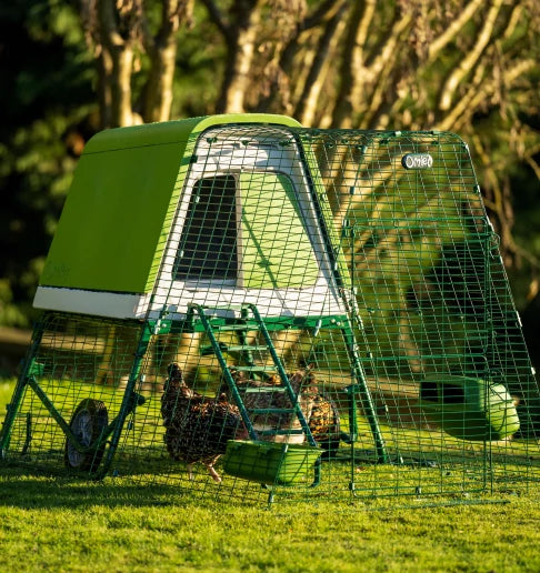 Omlet Eglu Go Up Raised Chicken Coop Four Legs or Wings Pets Omlet Eglu Go Up Raised Chicken Coop Four Legs or Wings Pets