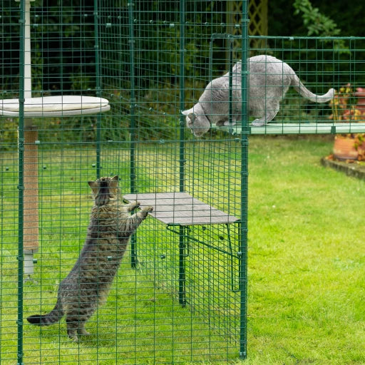 Omlet Outdoor Cat Shelf for Catio