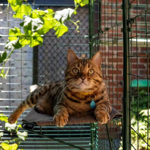 Omlet Outdoor Cat Shelf for Catio