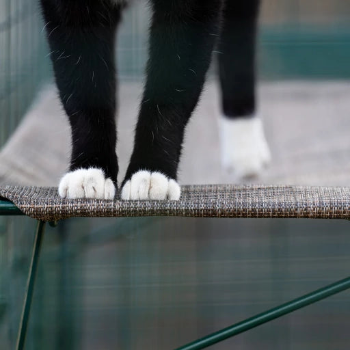 Omlet Outdoor Cat Shelf for Catio