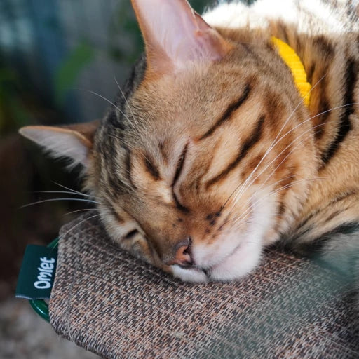 Omlet Outdoor Cat Shelf for Catio