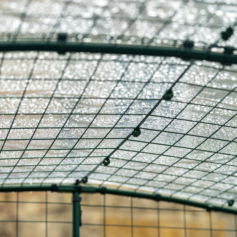Clear Walk In Run/Catio Cover 3x4m
