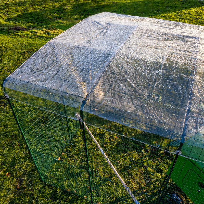 Clear Walk In Run/Catio Cover 2x2m