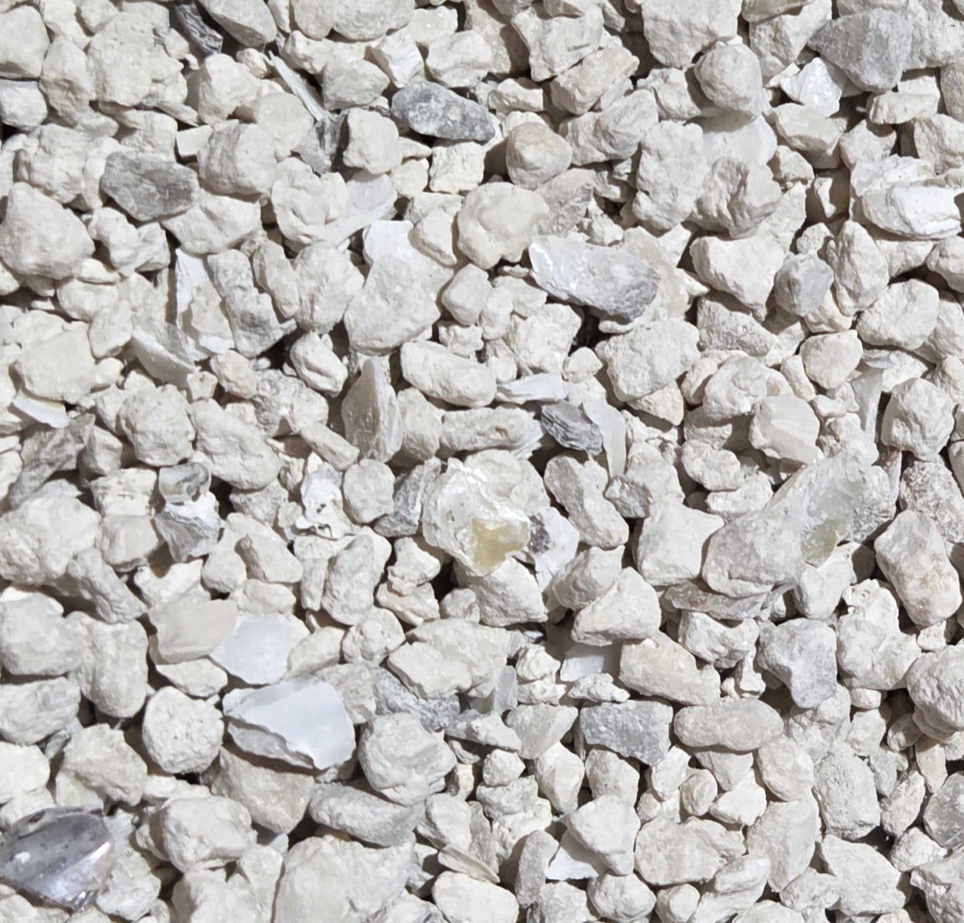ground oyster shell