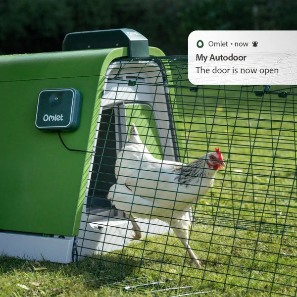 Smart Automatic Door for Eglu Go Coops
