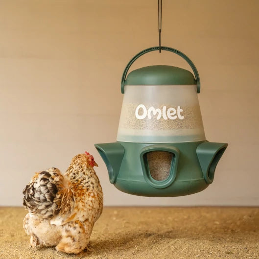 No Waste Chicken Feeder