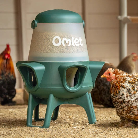 No Waste Chicken Feeder
