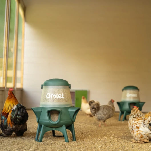 No Waste Chicken Feeder
