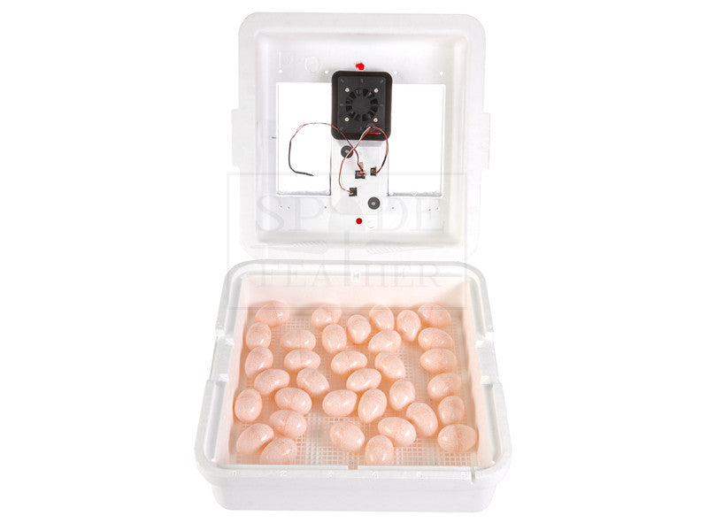 Little Giant Circulated Air Incubator