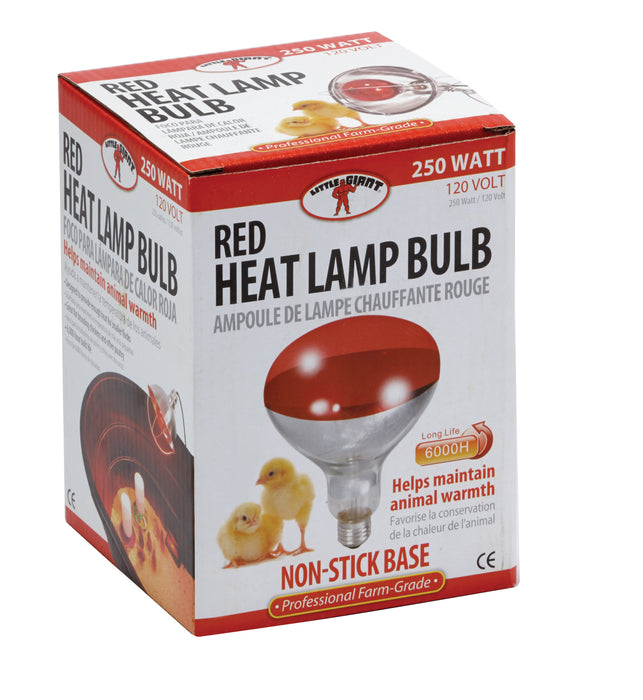 Brooder Heat Lamp 250W