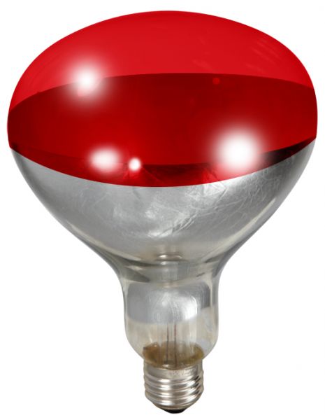 Brooder Heat Lamp 250W