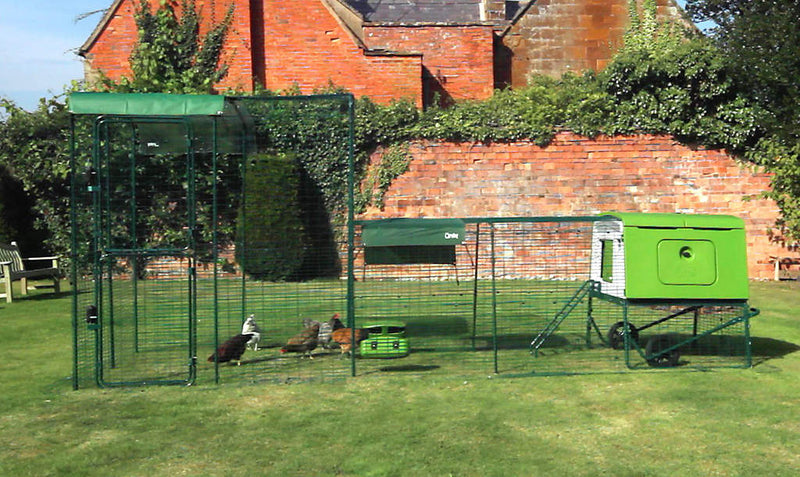 Eglu Cube with Run Connection Kit for Walk In Chicken Run