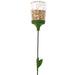 A vertical image of a Poppy Chicken Peck Toy with a treat dispenser filled with grains attached to a flexible pole.