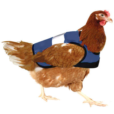 High-Vis Safety Chicken Jacket