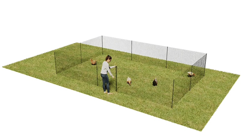 Omlet Chicken Fencing