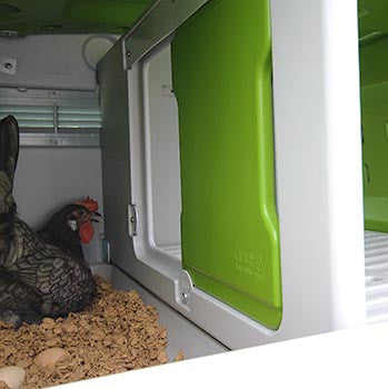 Omlet Eglu Cube Chicken Coop