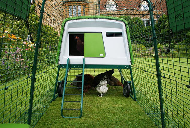 Omlet Eglu Cube Chicken Coop