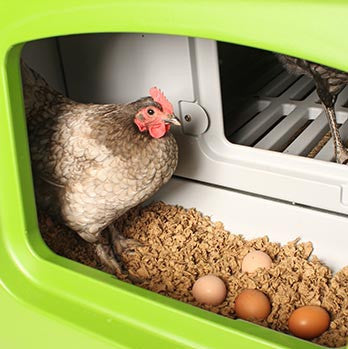 Omlet Eglu Cube Chicken Coop