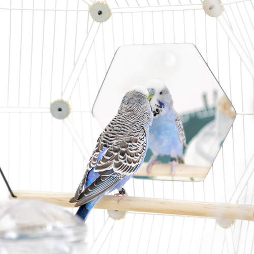 Geo Bird Cage — Four Legs or Wings Pets