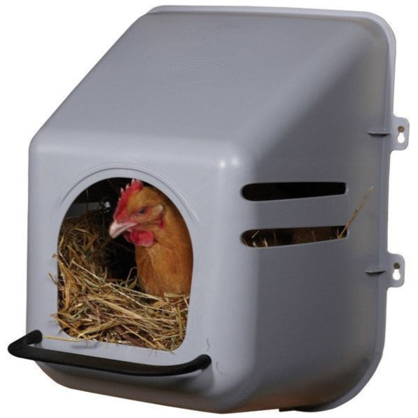 Plastic Nesting Box for Chickens