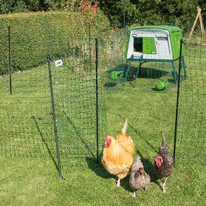 Omlet Chicken Fencing